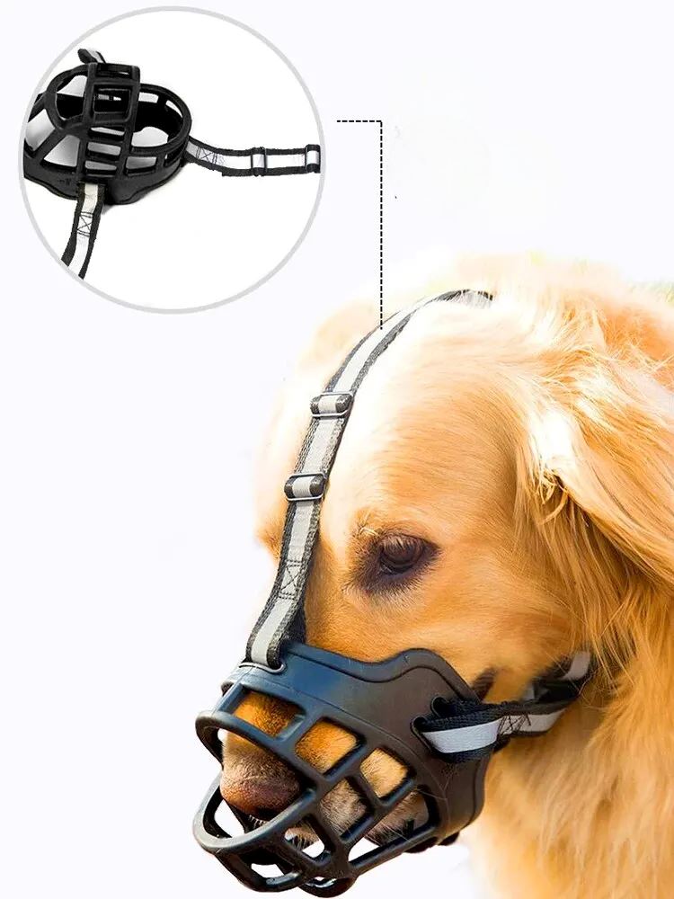 muselière chien