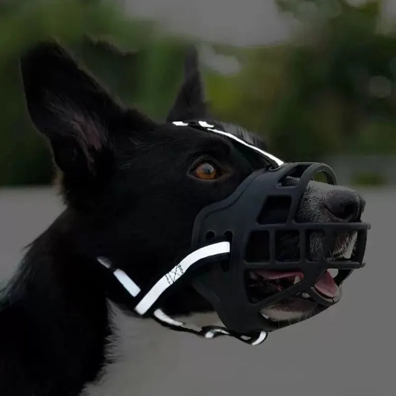 muselière chien