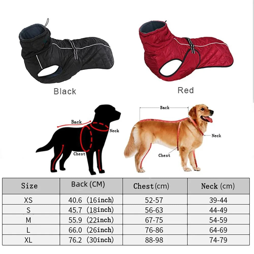 Manteau pour Chien | Imperméable Premium