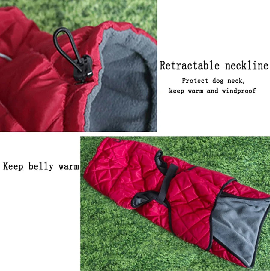 Manteau pour Chien | Imperméable Premium