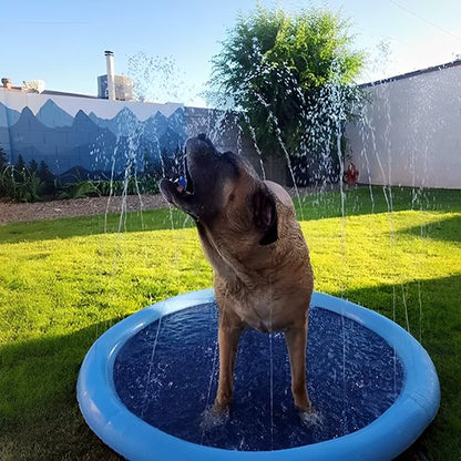 AquaDog un chien beige joue dans une piscine pour chien