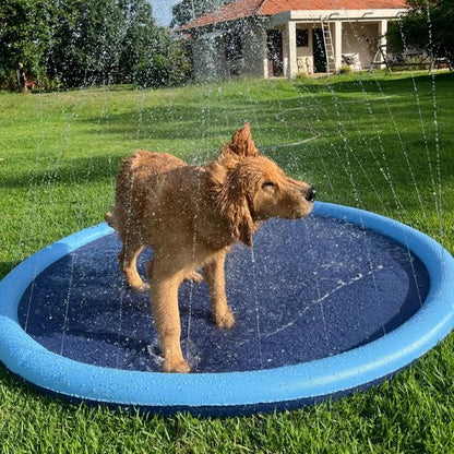 AquaDog un chien beige se secoue dans une piscine pour chien