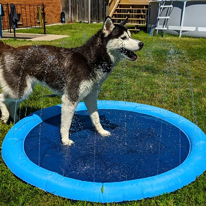 AquaDog un chien blanc et noir joue dans une piscine pour chien