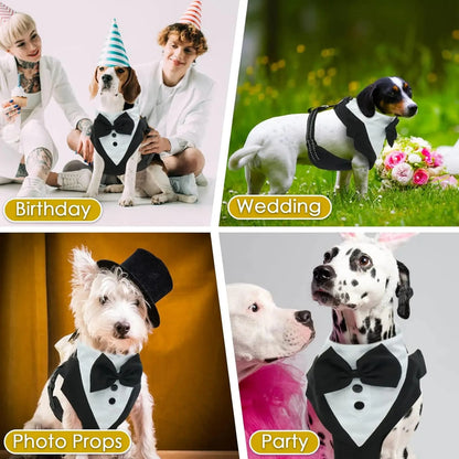 ChicDog harnais pour chien texedo porter par plusieurs chien dans plusieurs occasion fete mariage party portrait