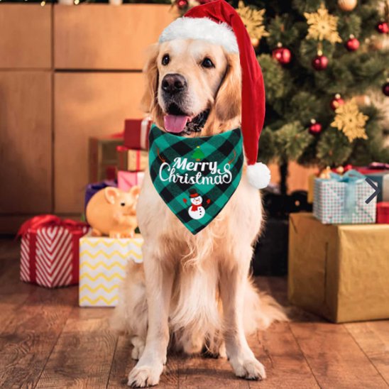 Christmas Bandana bandana pour chien vert au cou d'un chien beige