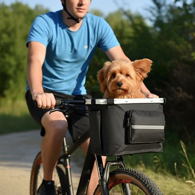 ComfortRide un homme transporte un chien beige dans un panier pour chien