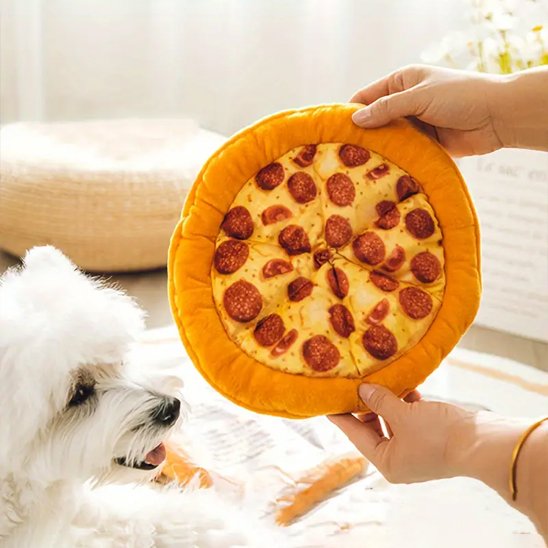 DogJoy une femme montre un jouet chien coussin pizza