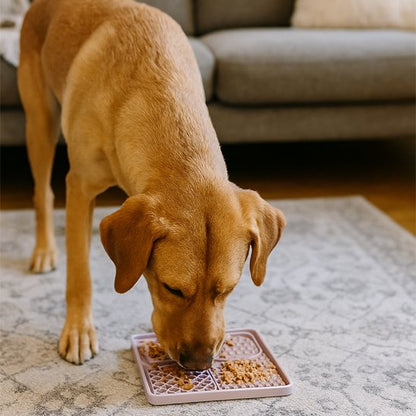 DogMat un chien beige leche un tapis de lechage rose avec nourriture