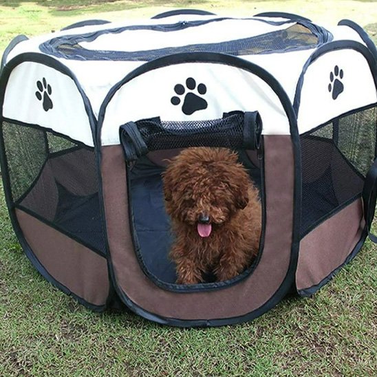 DogParkGo parc pour chien couleur cafe avec un chien brun a l'interieur