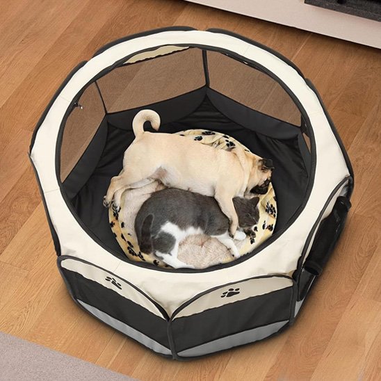 DogParkGo parc pour chien gris avec un chat et un chien coucher a l'interieur