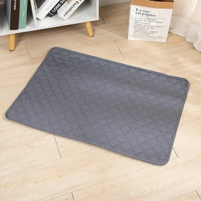 Dragdog PAd le tapis absorbant chien gris