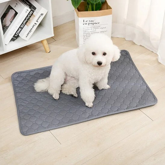 DryDog  Pad un chien blanc est assis sur le tapis absorbant chien gris