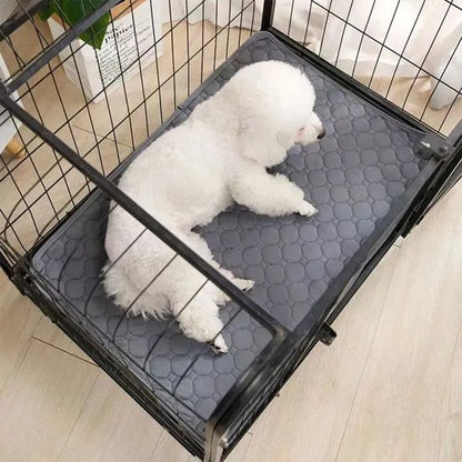 DryDog Pad un chien blanc est coucher sur le tapis absorbant chien gris