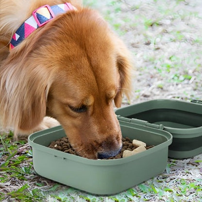 DuraPro un chien beige mange dans la gamelle pour chien verte