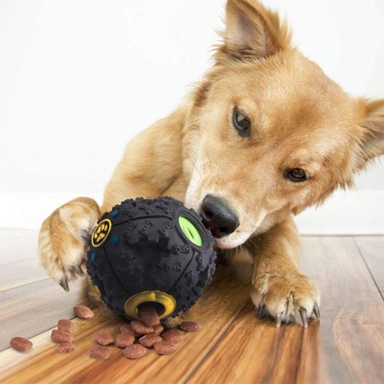 Duraballe jouet pour chien avec un chien beige qui joue avec la balle