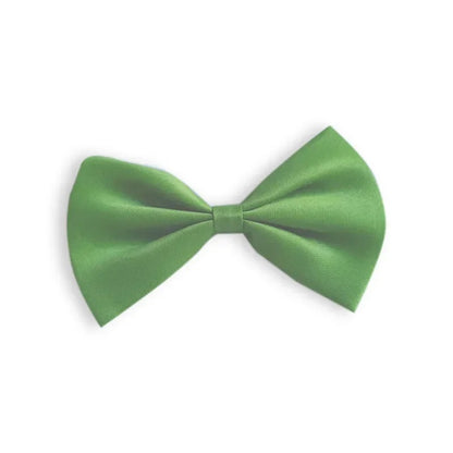 ElegantStyle noeud papillon pour chien vert
