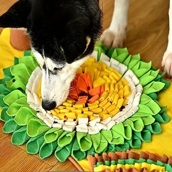 IntelliFouille vu de la tete d'un chien noir et blanc qui mange des croquettes dans un tapis de fouille multicolore motif fleur au centre