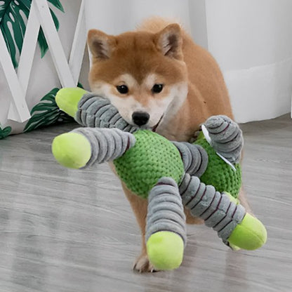 Mordillou un chien beige avec une peluche pour chien vert