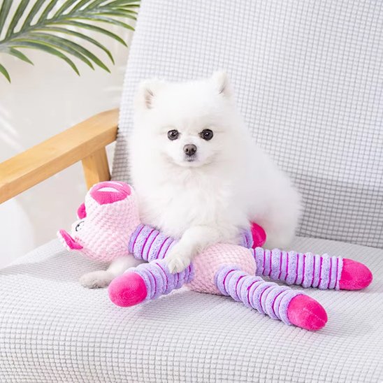 Mordillou un chien blanc est assis sur un divan avec une peluche pour chien rose