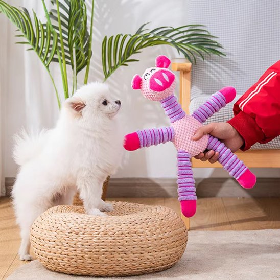 Mordillou un chien blanc joue avec une peluche pour chien rose