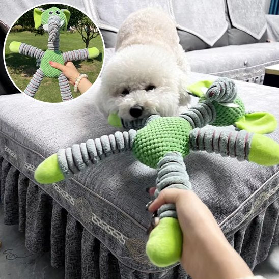 Mordillou un chien blanc joue avec une peluche pour chien vert