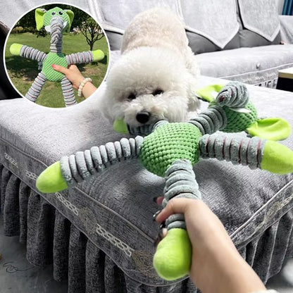Mordillou un chien blanc joue avec une peluche pour chien vert