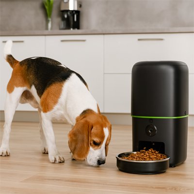 PetSchedule un petit chien blanc brun et noir mange dans un distributeur automatique croquettes