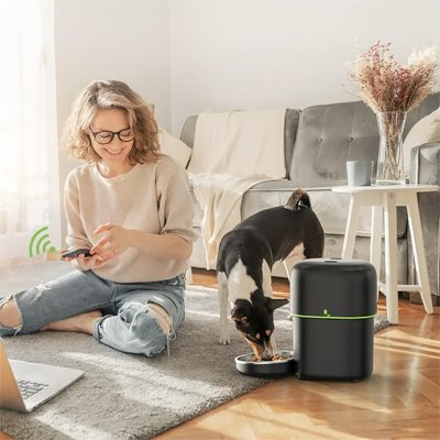PetSchedule un petit chien blanc et noir mange dans un distributeur automatique croquettes