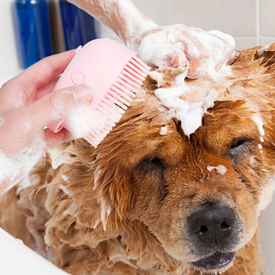 PoilNet une femme lave un chien brun avec la brosse pour chien rose