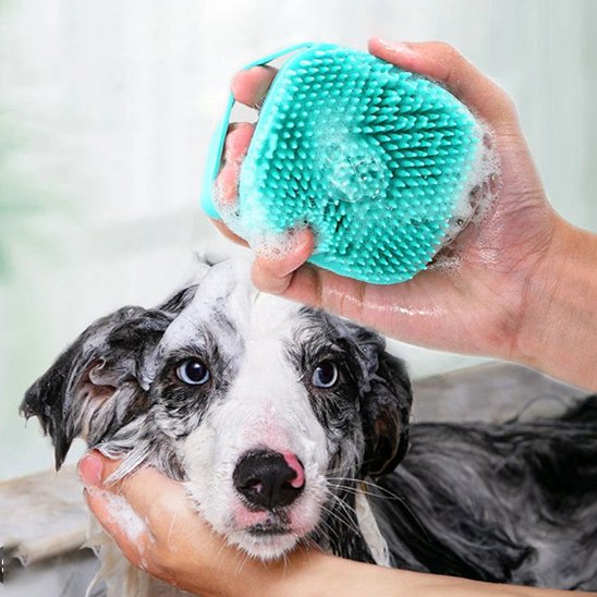 PoilNet une femme lave un chien noir et blanc avec la brosse pour chien bleu