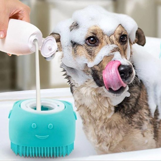 PoilNet une femme verse du savon dans la brosse pour chien bleu