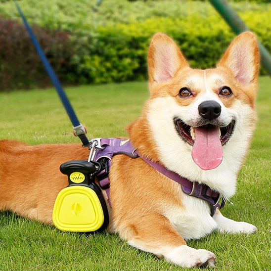  PooPick le ramasse crottes pour chien jaune accrocher a la laisse d'un chien beige