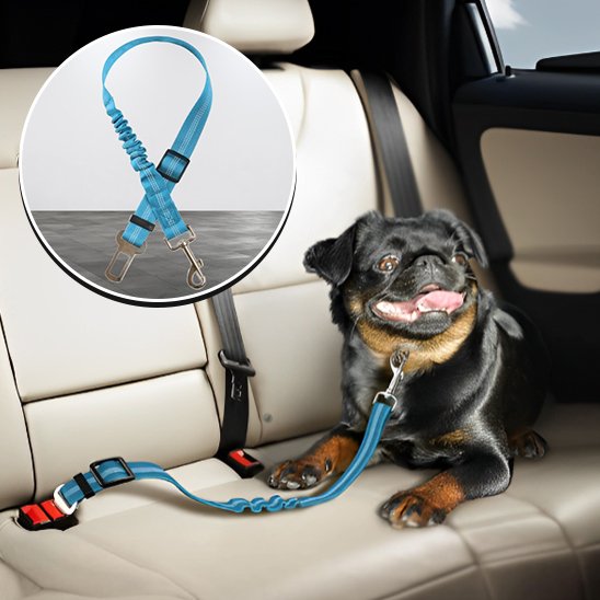 SafeDrive ceinture chien voiture bleu pale attacher sur un chien noir et beige avec vu rapprocher de la ceinture