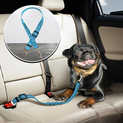 SafeDrive ceinture chien voiture bleu pale attacher sur un chien noir et beige avec vu rapprocher de la ceinture