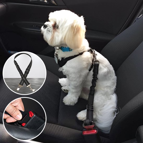 SafeDrive ceinture chien voiture noir attacher sur un chien blanc avec vu rapprocher de la ceinture et de la clip