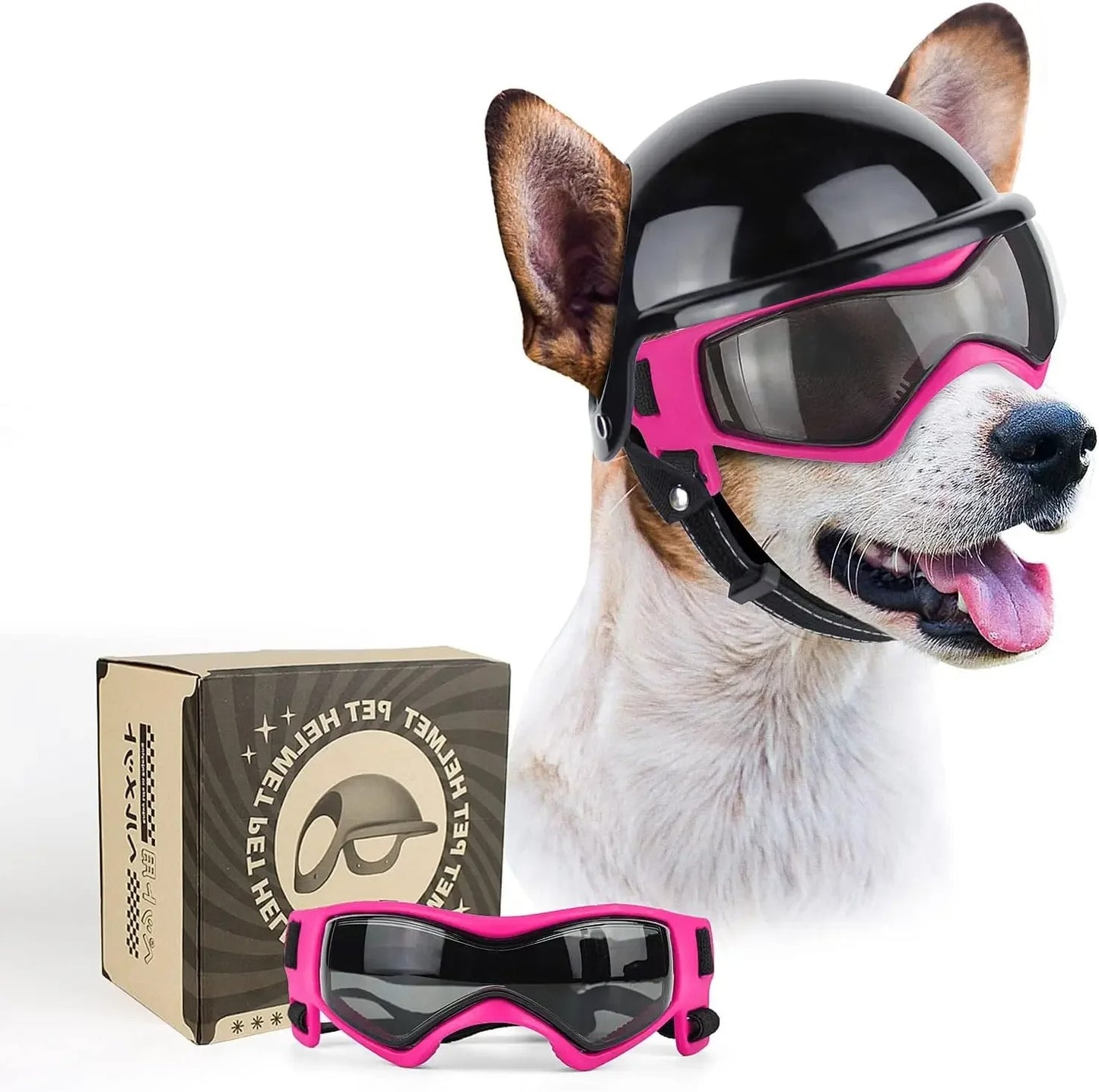 SafetyRide un chien beige et blanc porte un casque de moto noir pour chien et des lunettes de securite rose