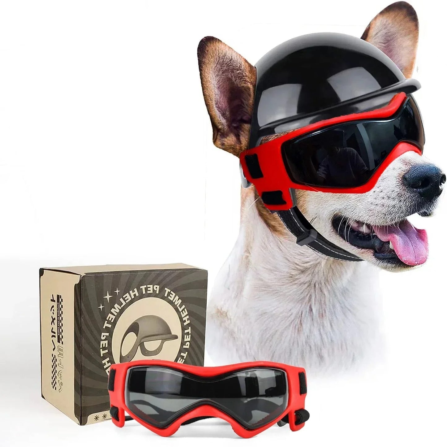 SafetyRide un chien beige et blanc porte un casque de moto noir pour chien et des lunettes de securite rouge