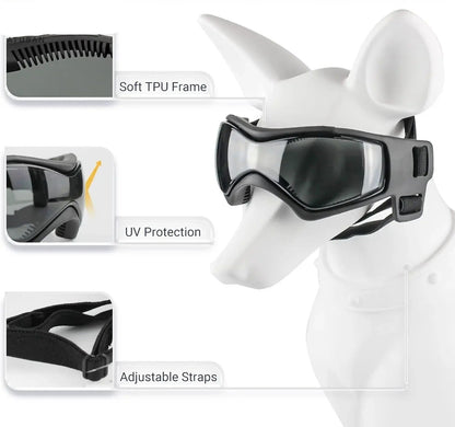 SafetyRide un mannequin de petit chien qui porte des lunettes de protection noirs