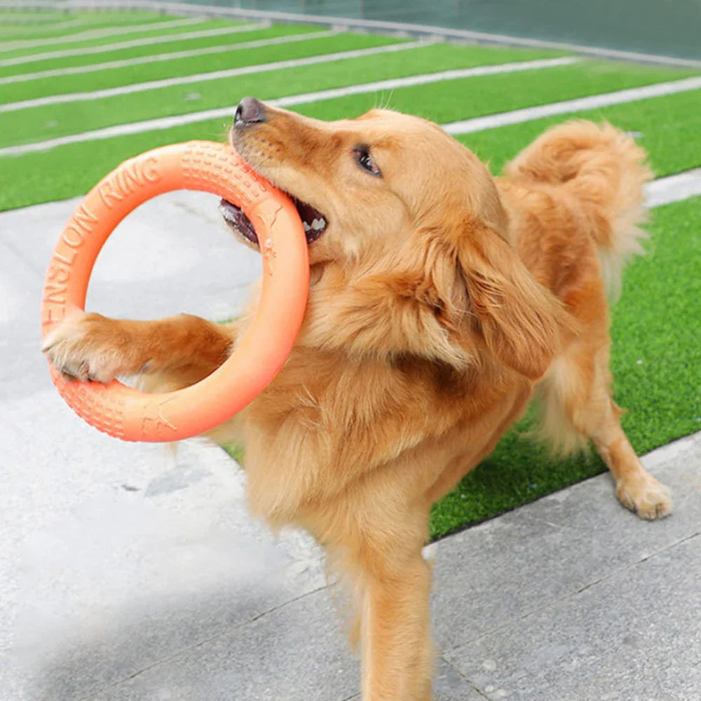 DogTrainingRing™