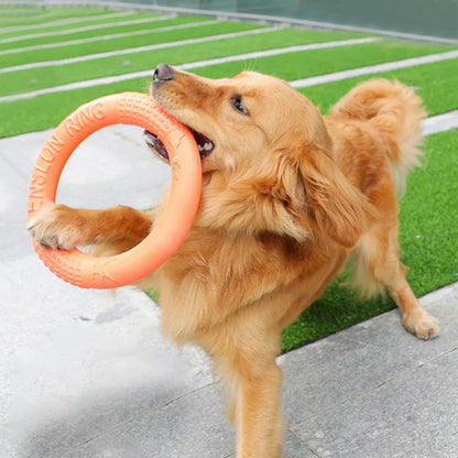 DogTrainingRing™