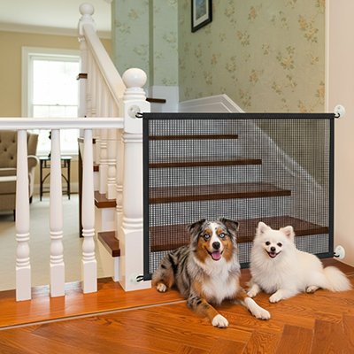 SecurePaw barriere chien a cote de deux brun gris noir et blanc