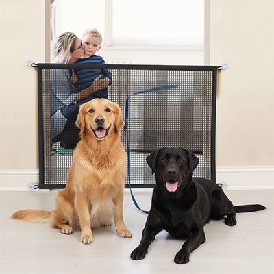 SecurePaw barriere chien a cote de deux chiens beige et noir