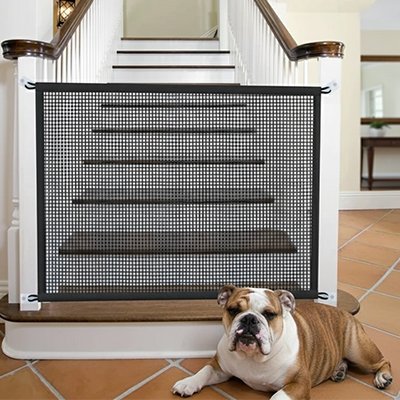 SecurePaw barriere chien a cote un brun noir et blanc