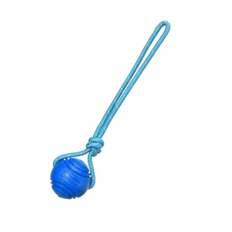 Superball la balle pour chien bleu