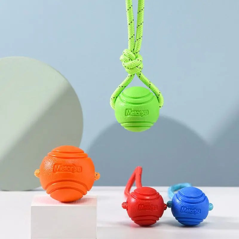 Superball les quatre couleurs de balle pour chien bleu verte orange rouge autre vu