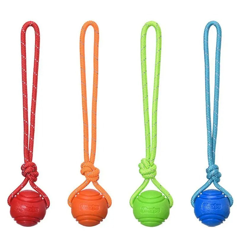 Superball les quatre couleurs de balle pour chien bleu verte orange rouge