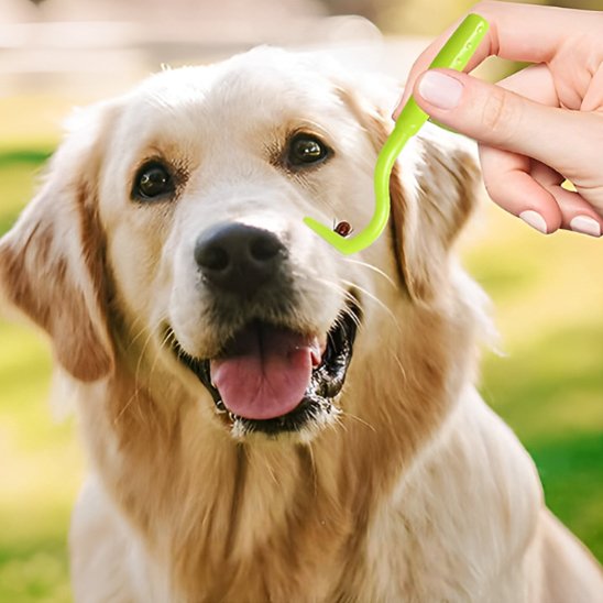 TicSafe une personne a enlever une tique d'un chien beige