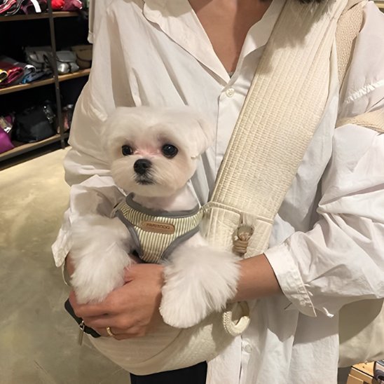 TravelPet un chien blanc avec son harnais dans un sac de transport pour chien blanc avec une femme