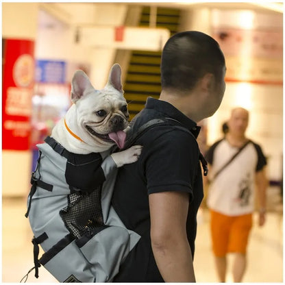 Trekk_Comfort sac a dos de transport pour chien gris dans le dos d'un homme avec un chien blanc