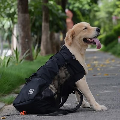  Trekk Comfort sac a dos de transport pour chien noir avec un chien beige a l'intérieur